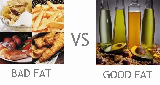 ΜΥΘΟΙ ΚΑΙ ΑΛΗΘΕΙΕΣ ΓΙΑ ΤΑ ΛΙΠΑΡΑ